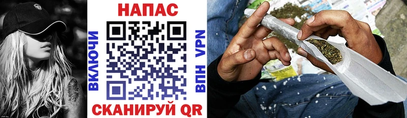 Купить закладки  Иннополис  Шишки марихуана индика 